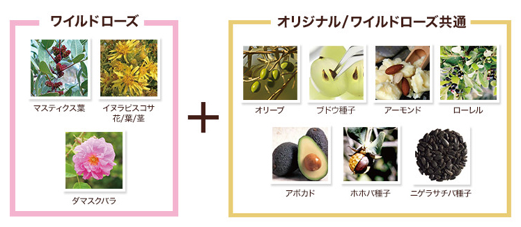 フェイスオイルワイルドローズ成分