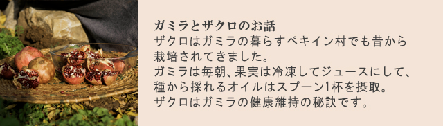 ガミラシークレット ザクロ