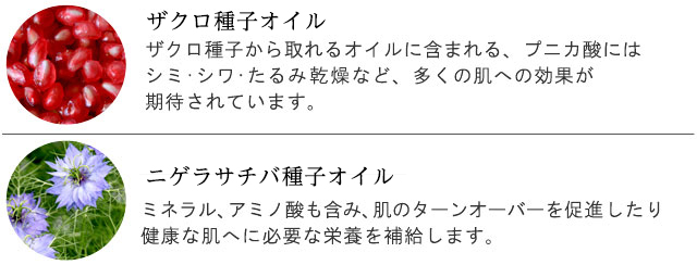 ガミラシークレット ザクロ