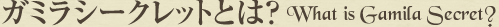 ガミラシークレットとは?What is Gamila Secret?