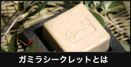 ガミラシークレットとは