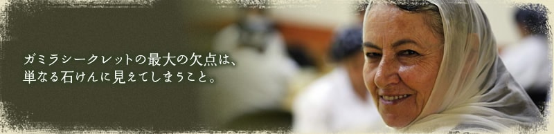 ガミラシークレットの最大の欠点は単なる石けんに見えてしまうこと。
