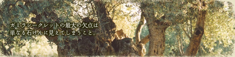 ガミラシークレットの最大の欠点は単なる石けんに見えてしまうこと。