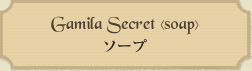ガミラシークレット〈ソープ〉 Gamila Secret